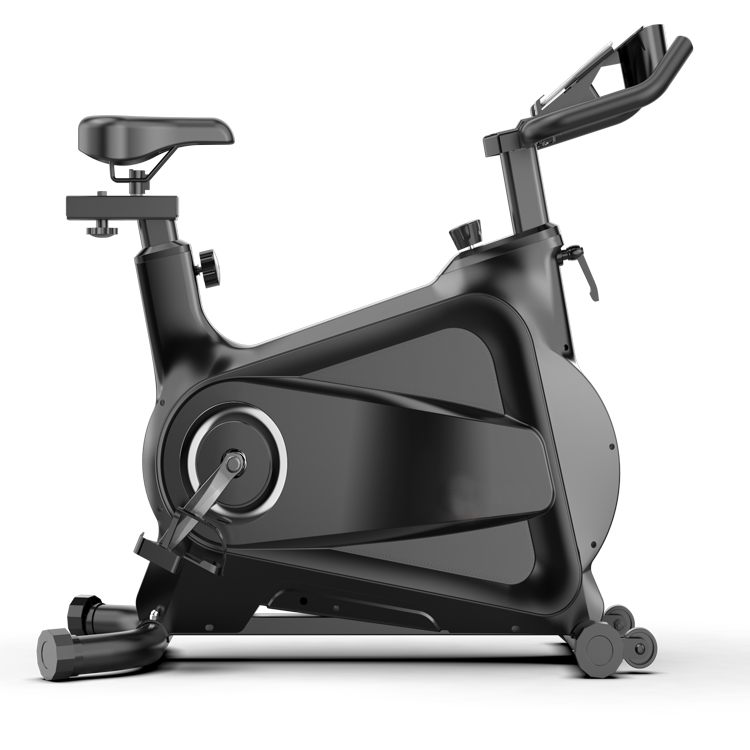Fitness Club Use Exercise Bicy - Home Gym Bike 评论和价格
