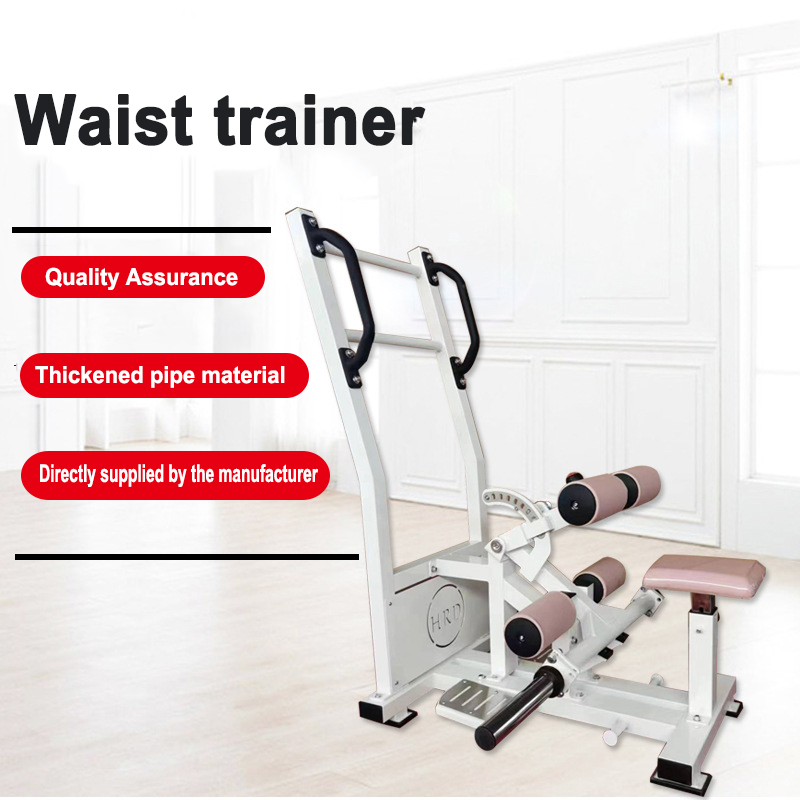 Manufacturer Customized Waist  - Home Gym Weight Machine 评论和价格
