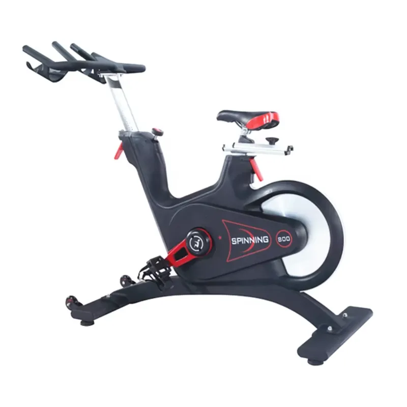 Professional Magnetic Resistan - Home Gym Bike 评论和价格