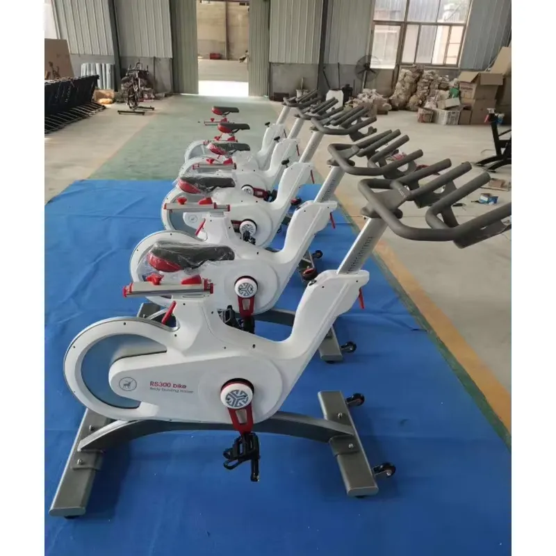 Professional Magnetic Resistan - Home Gym Bike 评论和价格