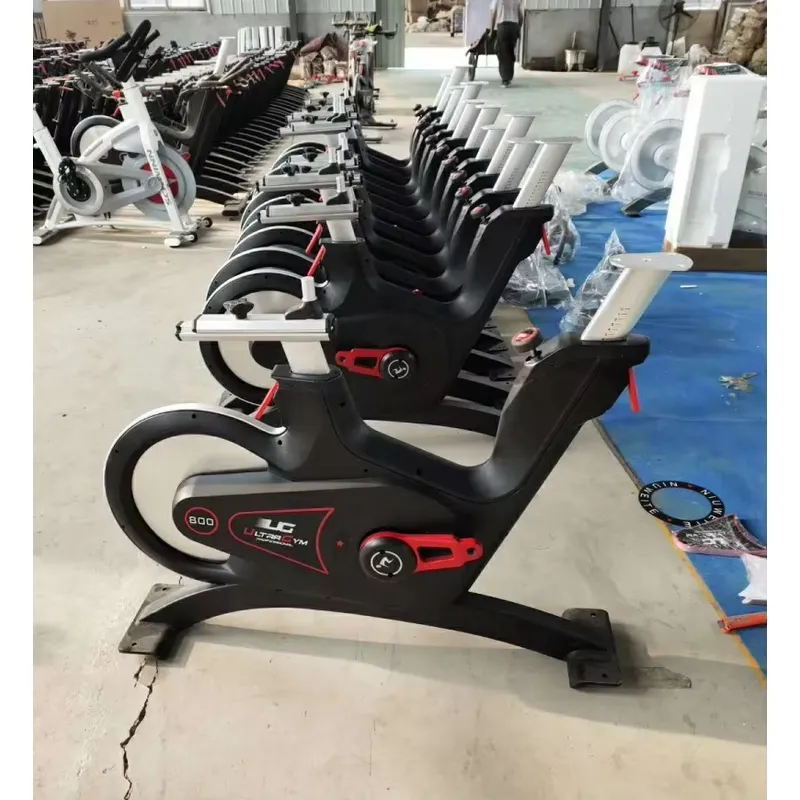 Professional Magnetic Resistan - Home Gym Bike 评论和价格