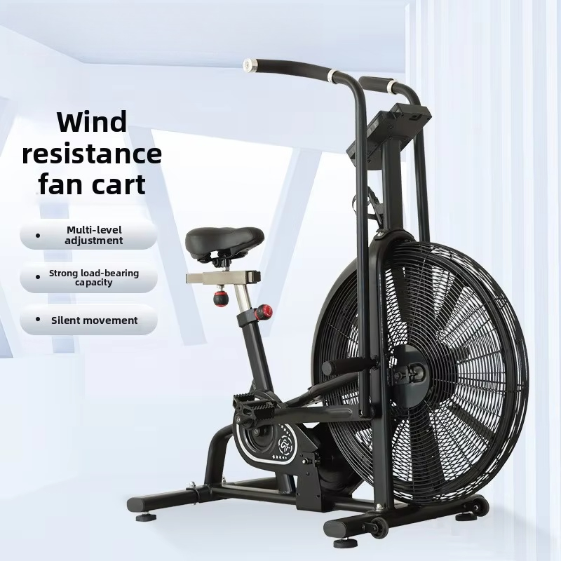 Commercial Wind Resistance Aer - Home Gym Bike 评论和价格