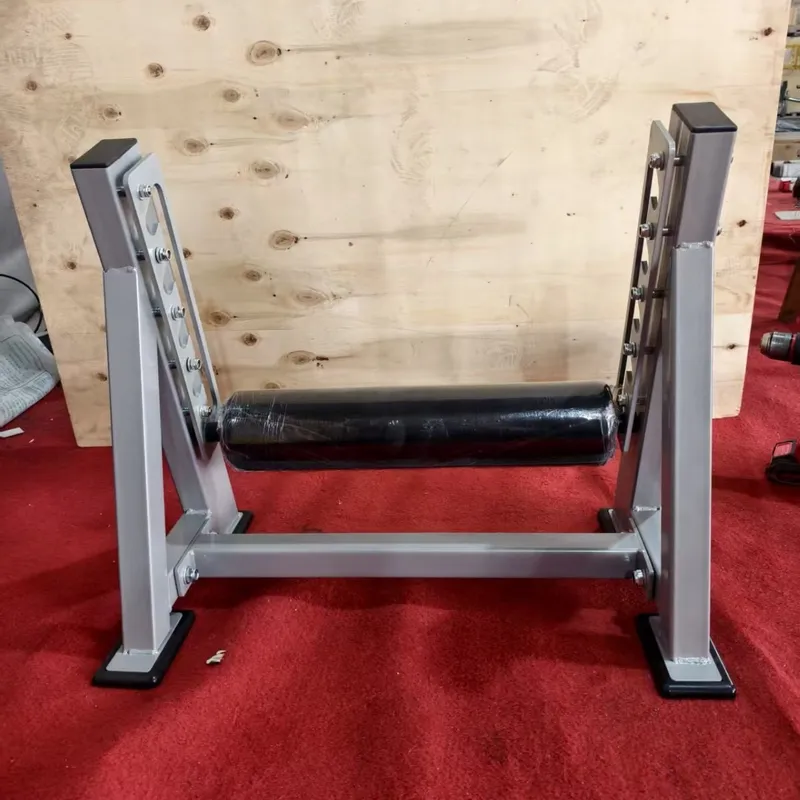Bulgarian Split Squat Rack Sin - Home Gym Hip Thrust Machine 评论和价格