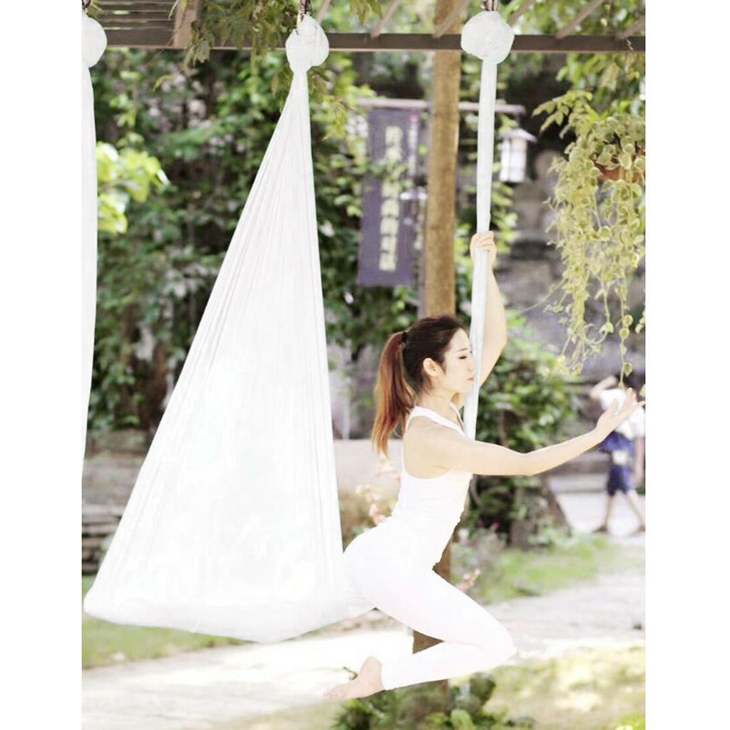 Nylon Aerial Yoga Hammock Dura - Yoga Trapeze Swing 评论和价格